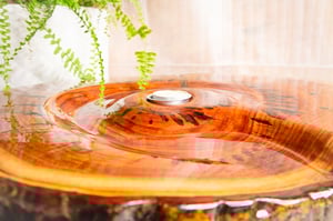 Image of La parada del Tiempo.