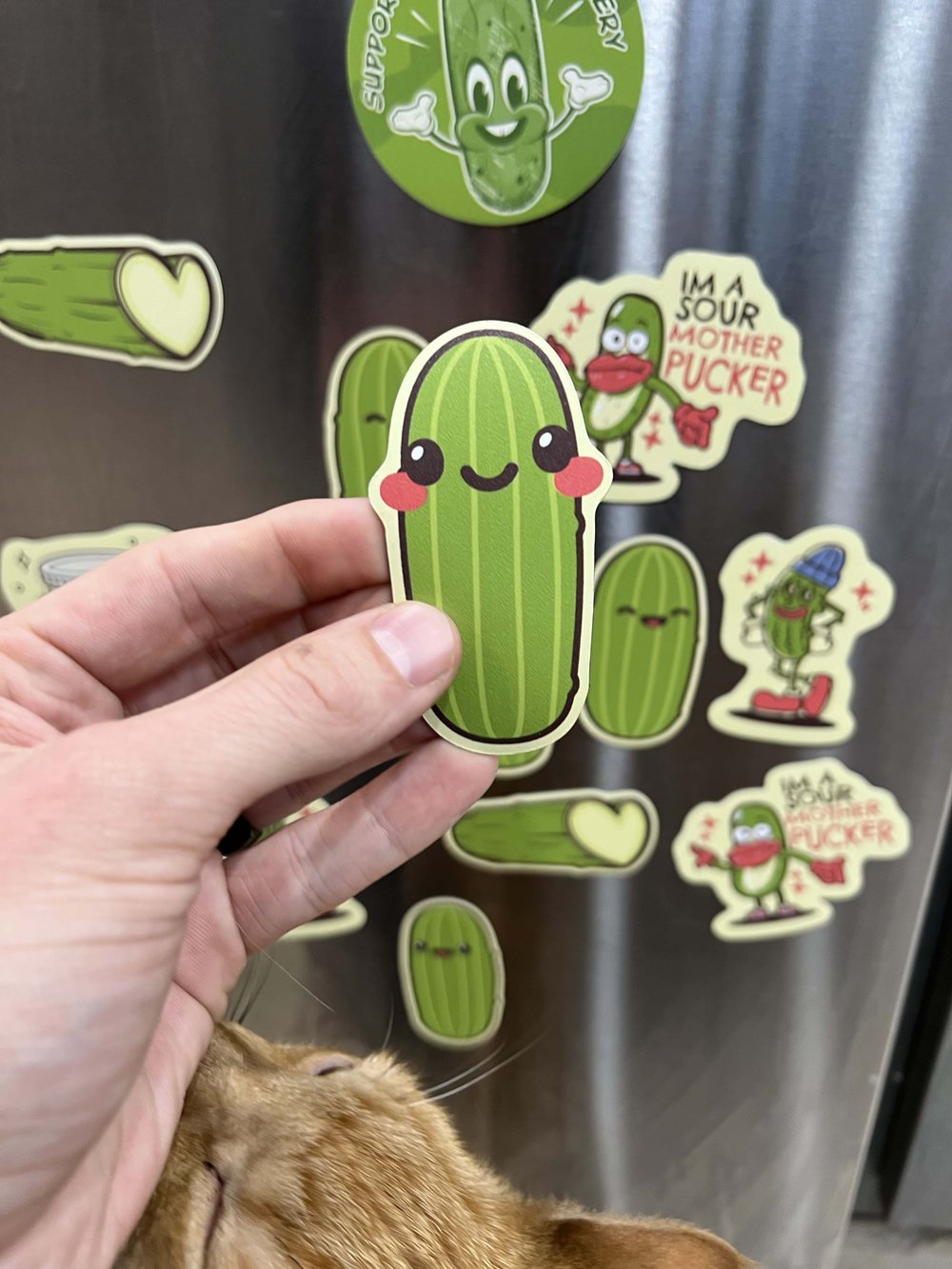 Image of Pickle Pack Sticker or Magnet - 7 Pickle Character Bundle
