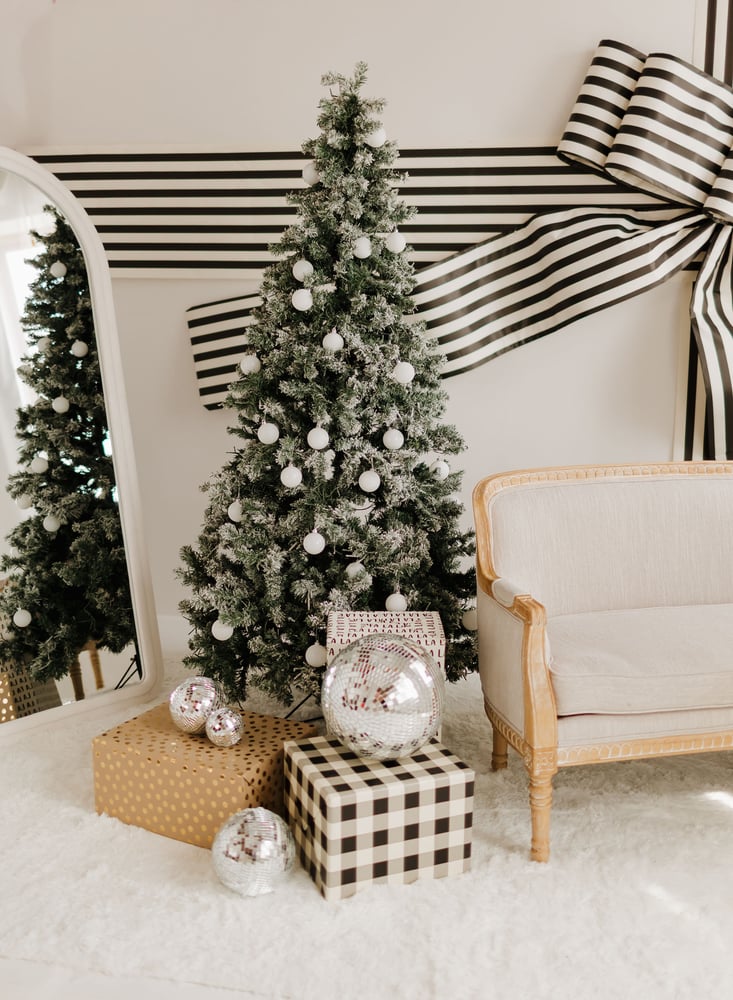 Image of Studio Christmas Mini