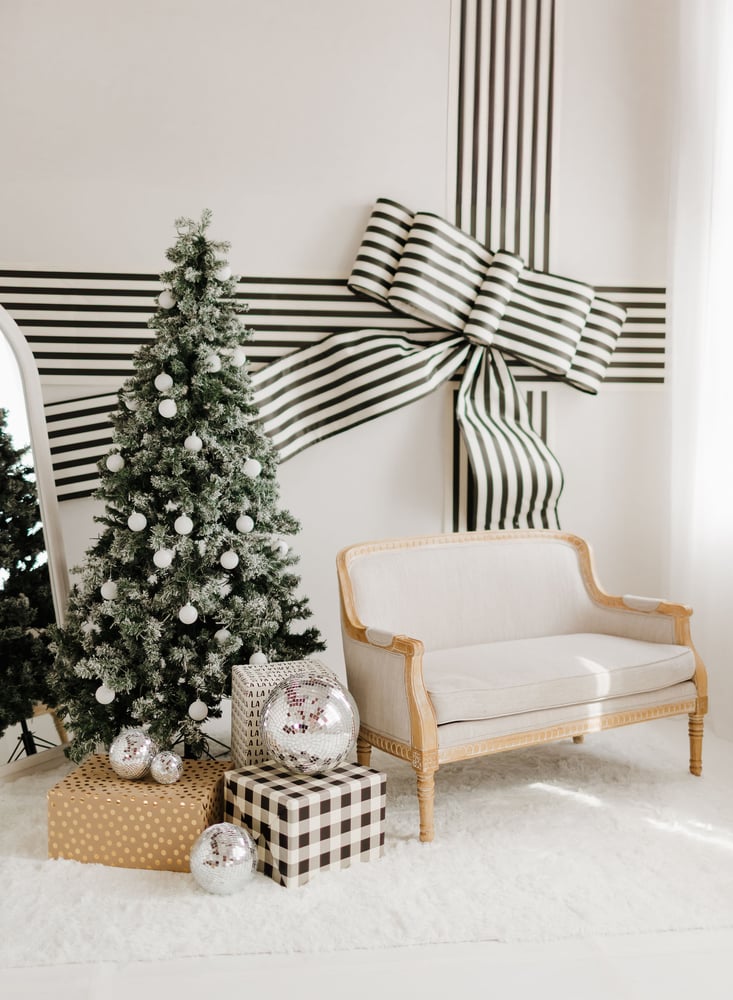 Image of Studio Christmas Mini