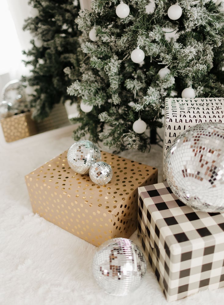 Image of Studio Christmas Mini