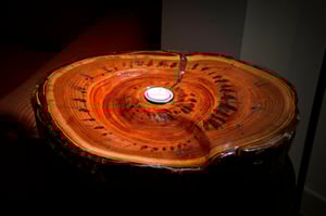 Image of La parada del Tiempo.