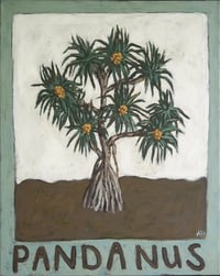 Pandanus Fine Art Print