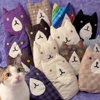 Image 1 of Trash Cats