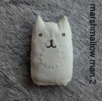 Image 9 of Trash Cats