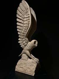 Image 2 of A MIDNIGHT SHADOW 