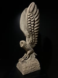 Image 1 of A MIDNIGHT SHADOW 