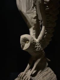 Image 3 of A MIDNIGHT SHADOW 