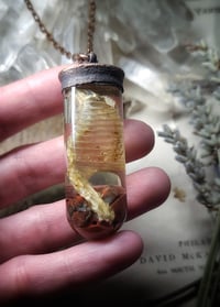 Image 1 of Glass Vial Ribcage Pendant