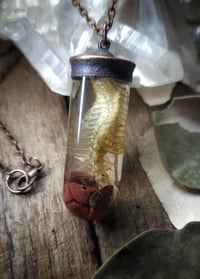 Image 2 of Glass Vial Ribcage Pendant