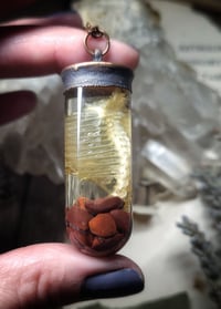 Image 3 of Glass Vial Ribcage Pendant