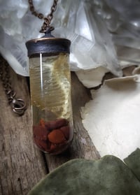 Image 4 of Glass Vial Ribcage Pendant