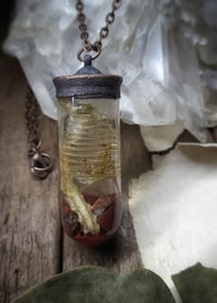 Image 5 of Glass Vial Ribcage Pendant