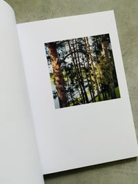 Image 3 of The Tree Which Has Been Struck 3 Times by Lightning by FRANCESCO LUSA