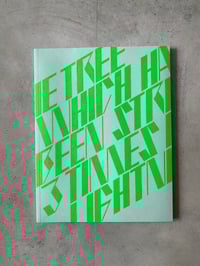 Image 1 of The Tree Which Has Been Struck 3 Times by Lightning by FRANCESCO LUSA