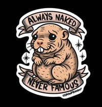 Always Naked, Never Famous