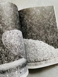 Image 6 of On Continuous and Systematic Nutrition Improvement by INDRĖ KLIMAITĖ