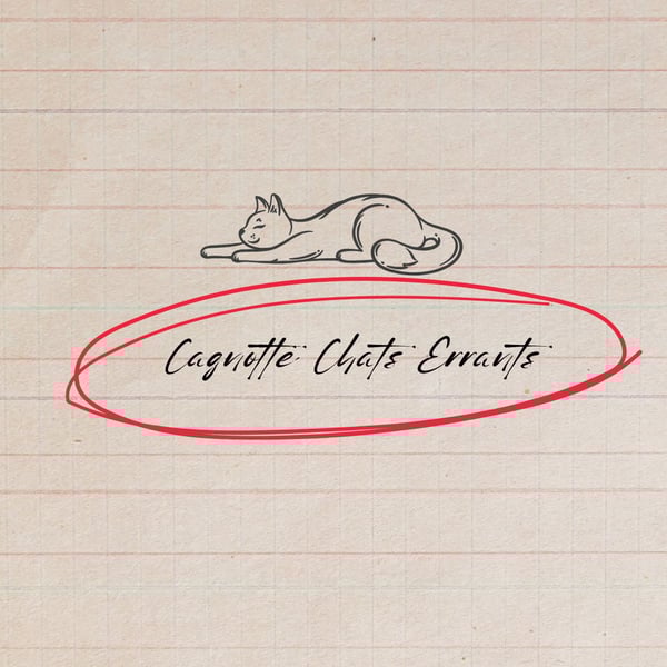 Image of Cagnotte • Chats errants