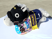 Image 1 of Horse Shoe Carabiner