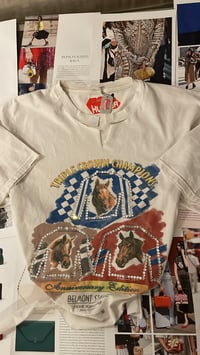 Image 1 of Swavorski Horse Champion T 