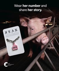 Image 5 of OLIVIA'S TAG NECKLACE - THICK STAINLESS STEEL 