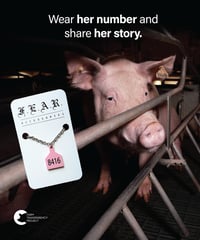 Image 5 of OLIVIA'S TAG NECKLACE - THIN STAINLESS STEEL 