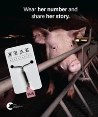 Image 4 of OLIVIA'S TAG KEYCHAIN - BLACK STRING