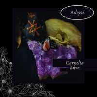 Image 2 of ☽ Carnelia ☾