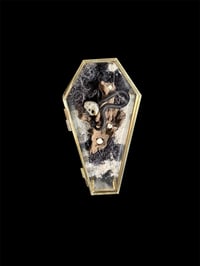 Image 3 of Glassarg mit echtem Hamsterschädel & Mensch. Zahnfragmenten