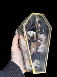 Image 4 of Glassarg mit echtem Hamsterschädel & Mensch. Zahnfragmenten