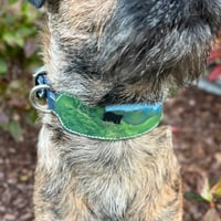 Image 1 of Blue Ridge Collar