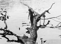 Image 3 of Trois mers et quatre terres - Stéphane Charpentier & Damien Daufresne