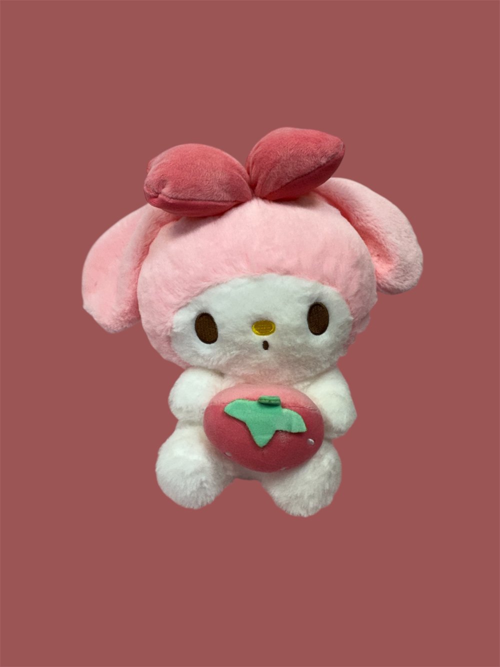 Image of Plushie 🧸