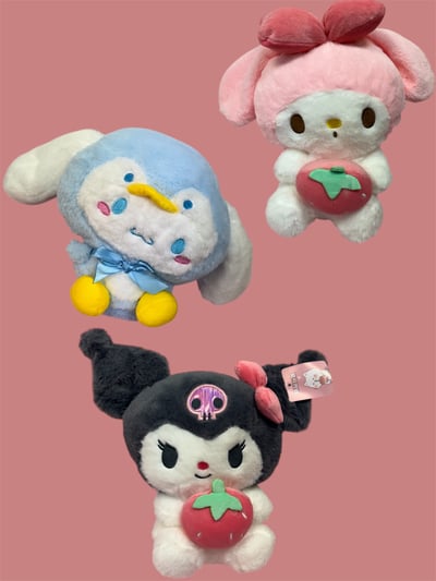 Image of Plushie 🧸