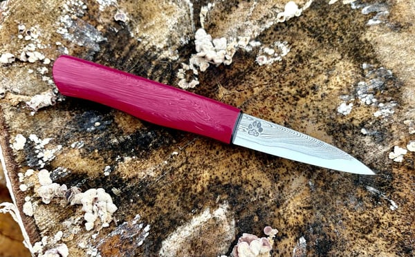 Image of Paring Björkmans/RWL34 DCI