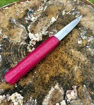 Image of Paring Björkmans/RWL34 DCI