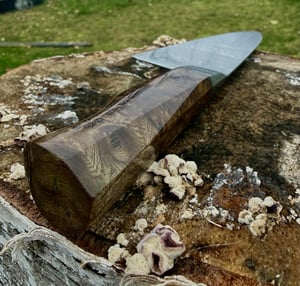 Image of 215 Integral Dense twist DCI