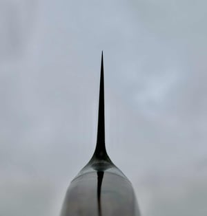 Image of 215 Integral Dense twist DCI