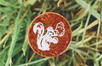 Image 2 of Calamari Snappers™ "Sciurus carolinensis" 2 3/4 [2025]