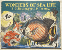 Image 1 of Wonders Of Sea Life a vintage King Penguin book