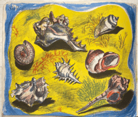 Image 3 of Wonders Of Sea Life a vintage King Penguin book