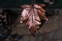 Image 1 of Vera foglia di acero montano elettroformata in rame con patina ossidata calda