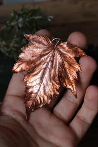Image 2 of Vera foglia di acero montano elettroformata in rame con patina ossidata calda