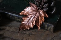 Image 3 of Vera foglia di acero montano elettroformata in rame con patina ossidata calda