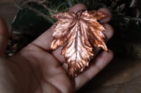 Image 4 of Vera foglia di acero montano elettroformata in rame con patina ossidata calda