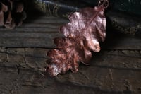 Image 2 of Vera foglia di quercia elettroformata in rame con finitura leggermente ossidata