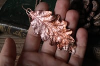 Image 1 of Vera foglia di quercia elettroformata in rame con finitura leggermente ossidata