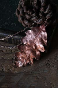 Image 3 of Vera foglia di quercia elettroformata in rame con finitura leggermente ossidata