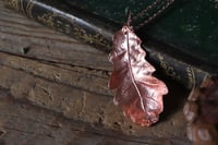 Image 3 of Vera foglia di quercia elettroformata in rame con finitura lucida