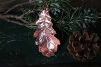 Image 1 of Vera foglia di quercia elettroformata in rame con finitura lucida